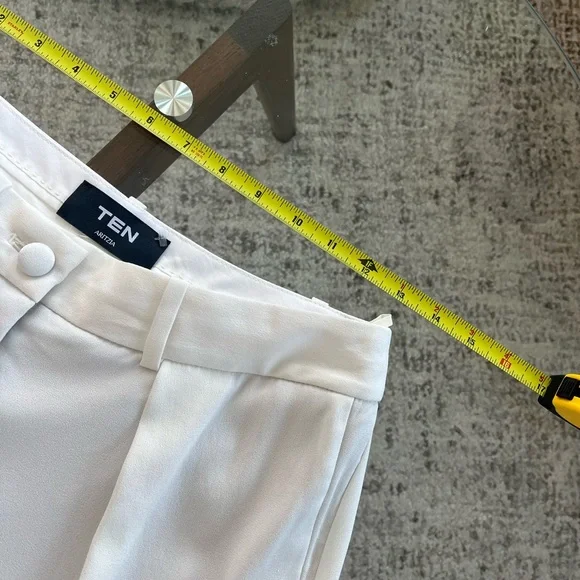 Aritzia Ten Dame Light Birch Low Rise Wide Leg Formal Evening Business  Pant Sz2 - Picture 9 of 16